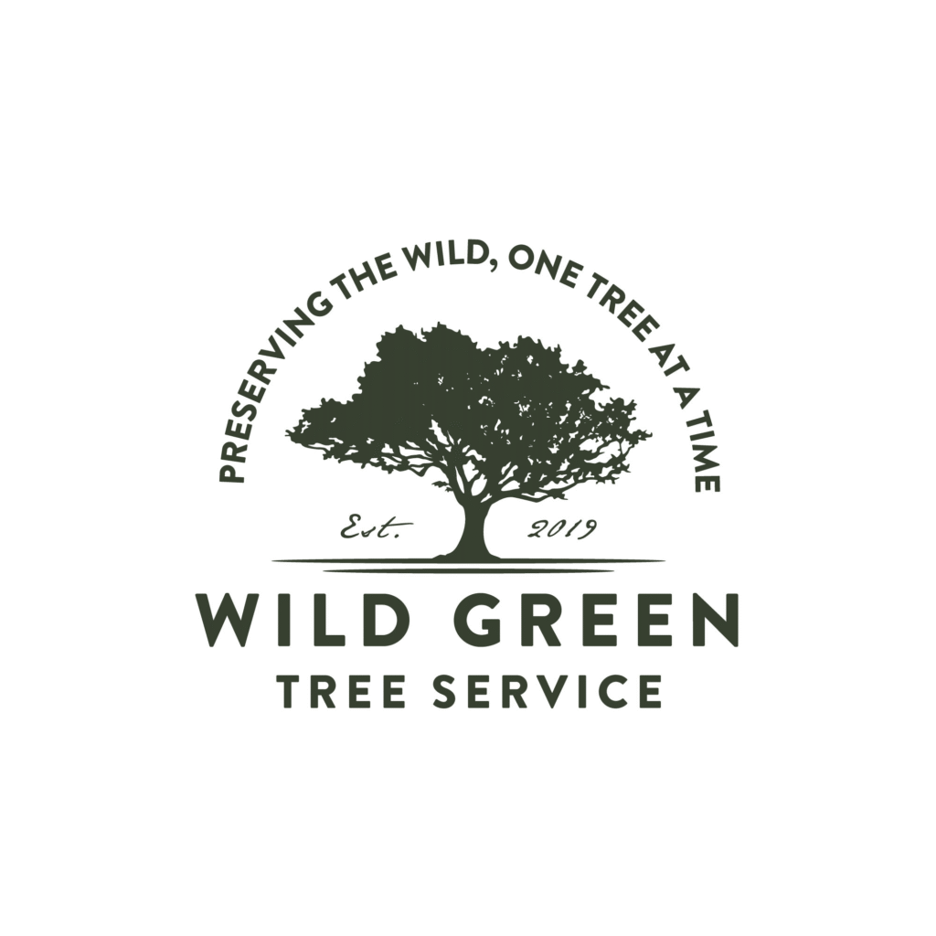Brand-Worthy Tree Company Names To Stand Out In 2026 | Hook Agency