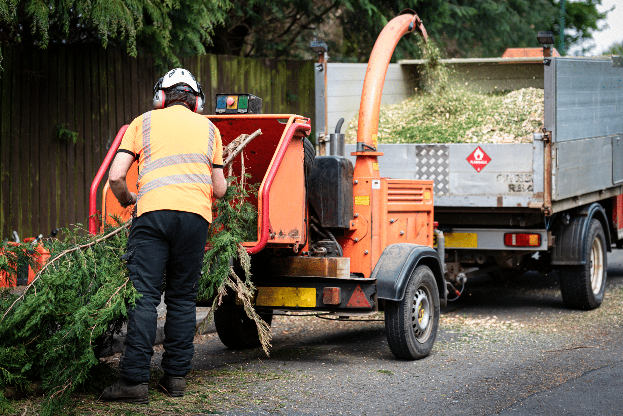 A picture of a tree care and maintenance business in action