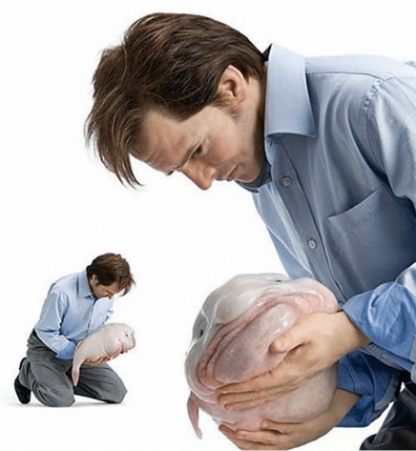 Man with strange animal - stock photos for memes