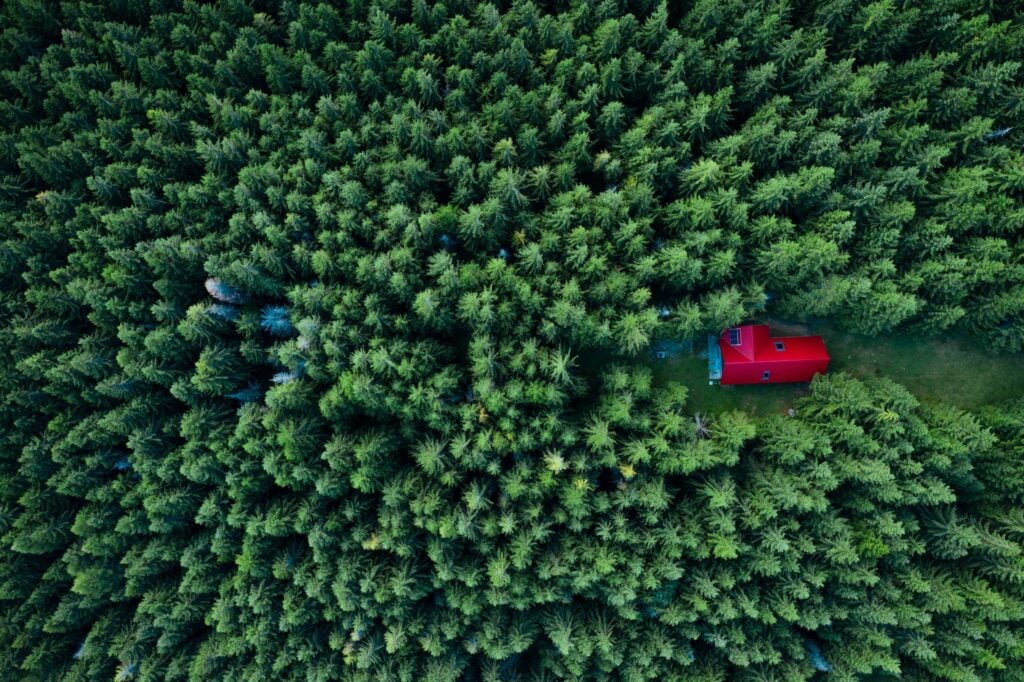 Evergreen Content Strategies