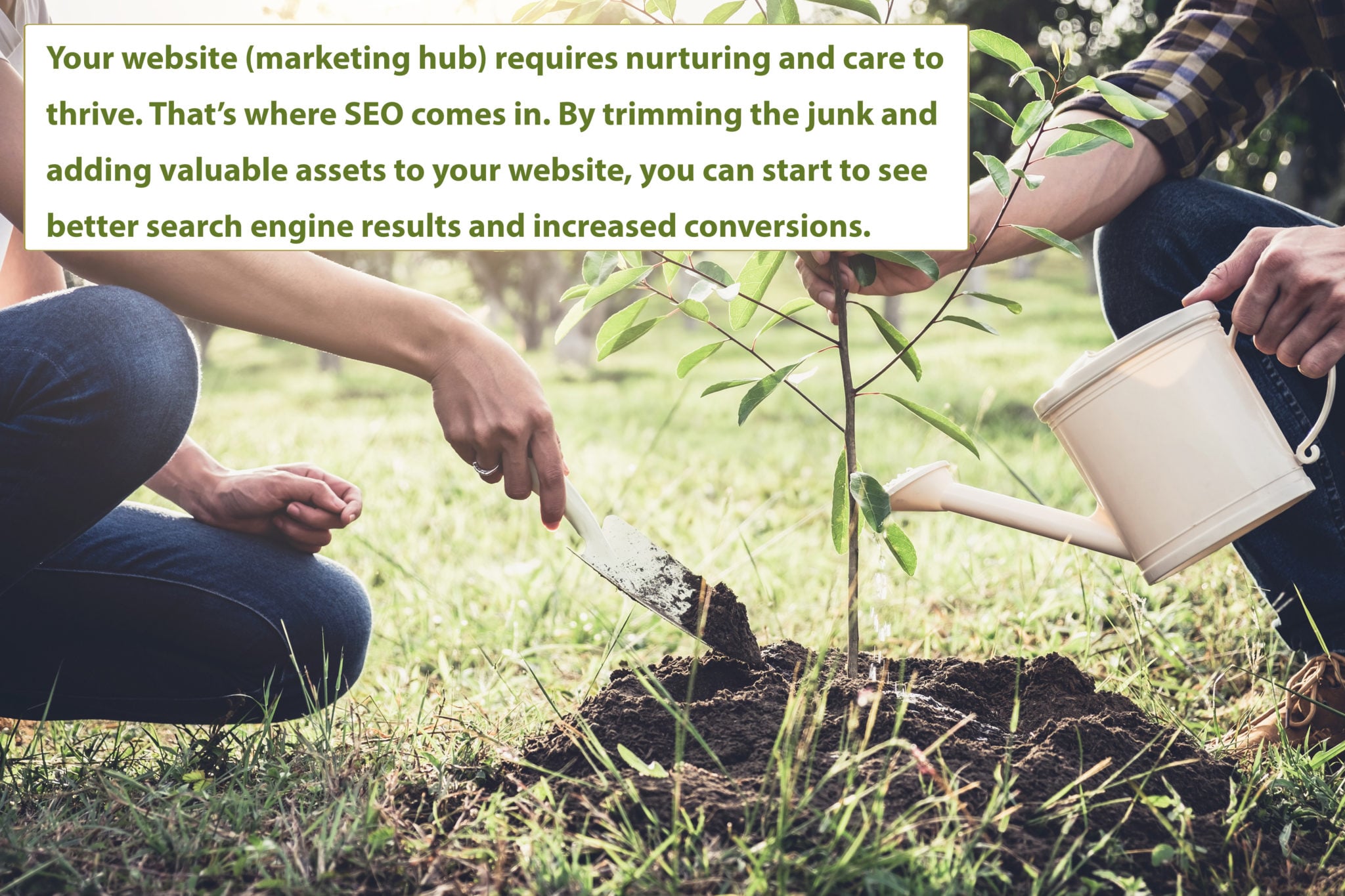 website seo