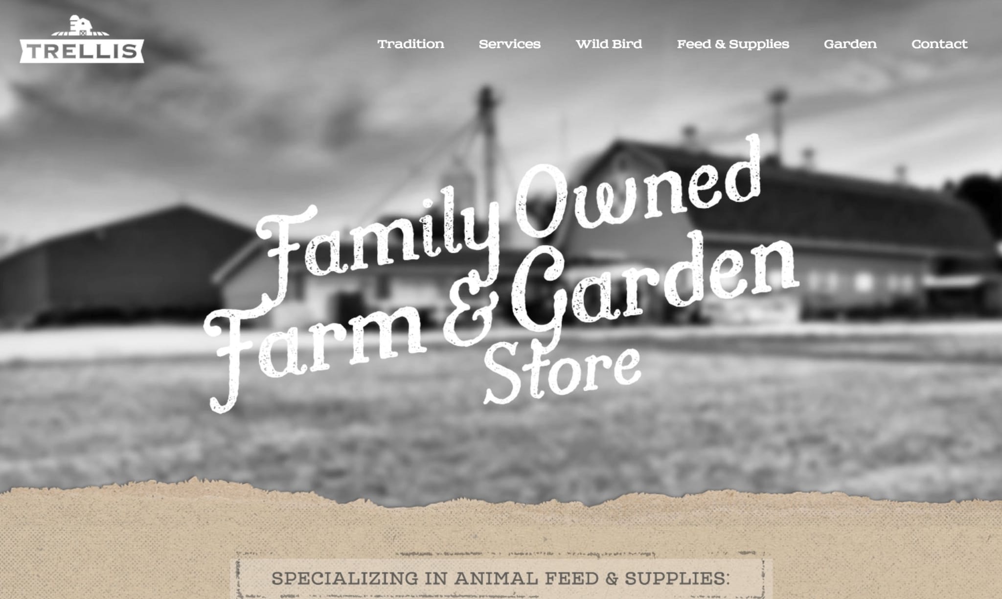 Trellis - Best Websites for 2016 - Designing for Sparse, Minimal Work