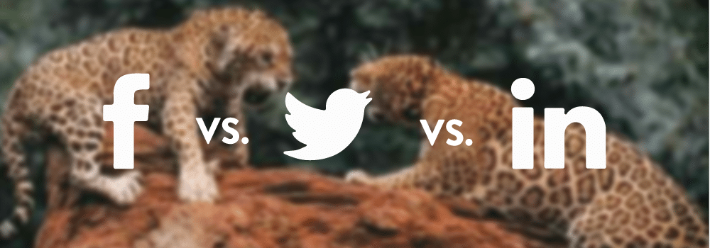 Twitter vs. Twitter vs. LinkeIn Ads - Competition Case Study, Competitive