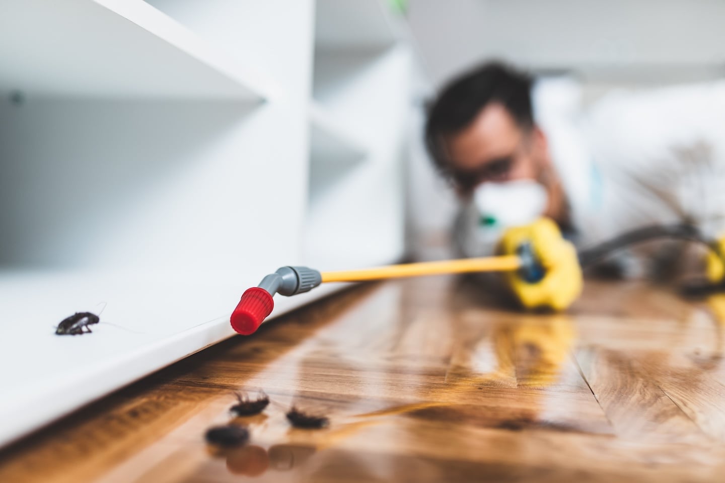 Gloved hands apply Aeo pest spray to a hardwood floor, targeting visible cockroaches near a white cabinet.