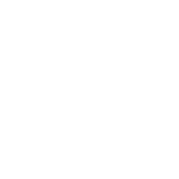 Minimalist radio signal icon with a central dot and three radiating arcs per side, representing SEO connectivity and broadcasting.