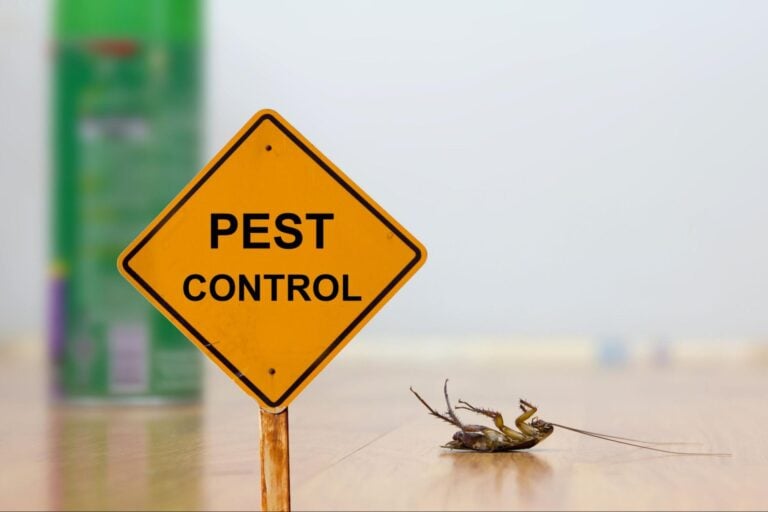 Yellow "Pest Control" caution sign next to dead cockroach; professional pest control spray can is visible in the background.