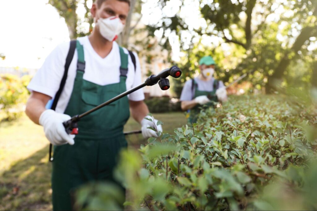 Pest control professionals in masks and gloves use backpack sprayers on park bushes, focusing on the lead technician spraying.