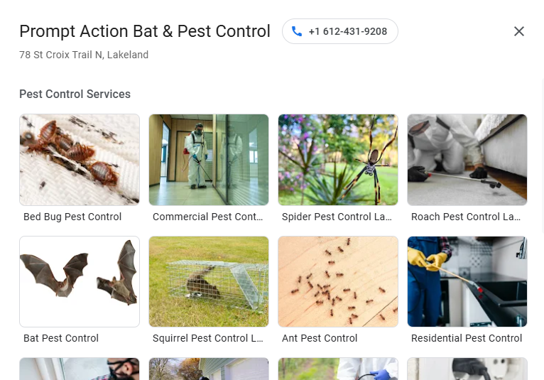 Hook Agency pest control service page screenshot featuring local bed bug, ant, and commercial solutions with service images for Local Calls.