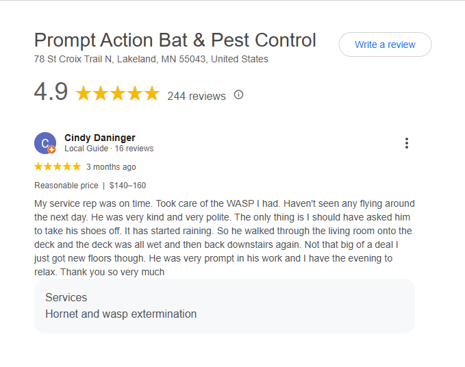 Google review: 4.9 stars from 244 reviews. Fast, professional hornet & wasp control at fair prices. Quick local response.