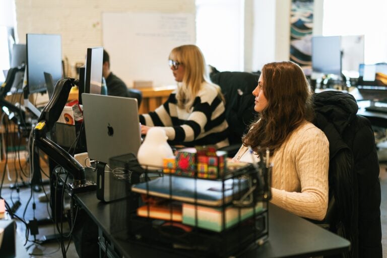 Two professional women work at desks in a modern office, each focused on their computers. Office supplies, a basket, and a whiteboard appear in the background, reflecting an organized and productive workspace for career-driven individuals on Hook Agency’s website.